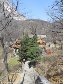 莲花寺