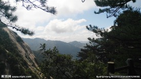 天堂寨山峰和松树