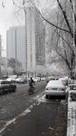 下雪天的城市街道