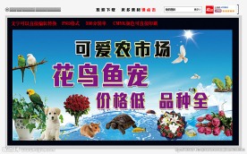 花鸟鱼虫 宠物海报 喷绘布