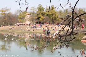太子湾