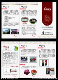 广告公司宣传折页