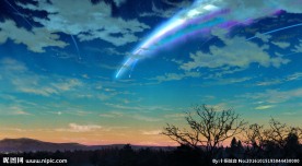 新海诚动画海报