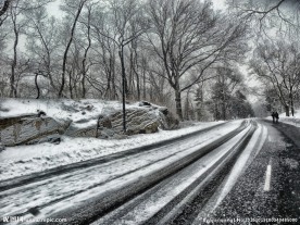 下雪天公路图片