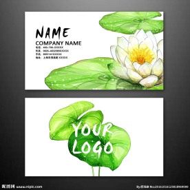 工笔画荷花名片
