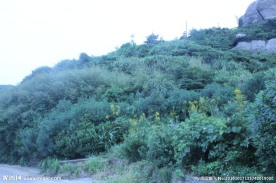 东极岛