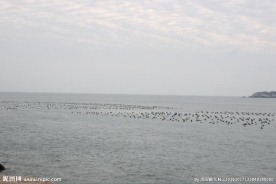 东极岛大海