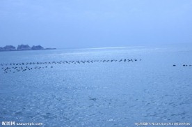 东极岛大海