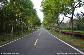 龙背山公园