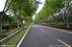 龙背山公园