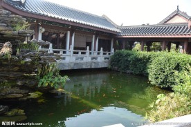 公园 假山 鲤鱼