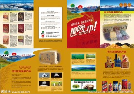 吉川集团公司四折页