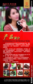 百年堂阿胶易拉宝