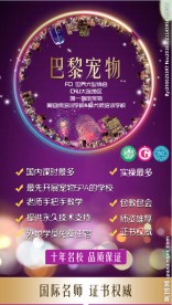 巴黎宠物教学