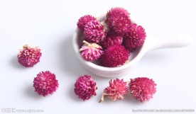 花茶千日红
