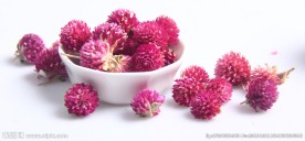 花茶千日红