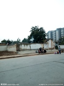 道路 建筑