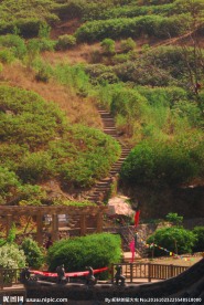 春天的山坡