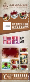 瑜伽海报 瑜伽修身