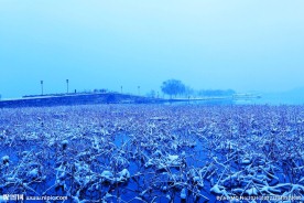 断桥残雪