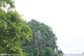 青山  绿树