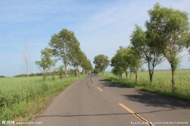 旅游公路