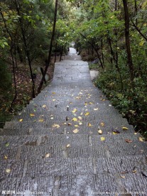 山间梯道