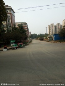 道路 建筑