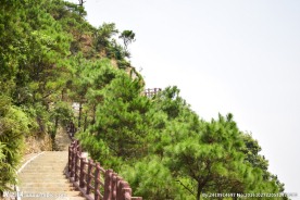 肇庆羚羊峡古栈道森林公园