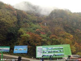 山中景观