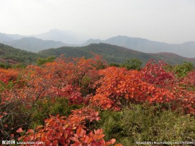 嵩山秋色