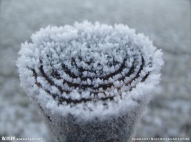 冰雪