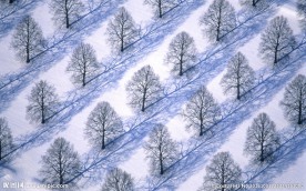 冰雪