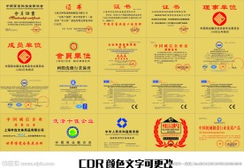 质量证书 中国名牌  铜牌