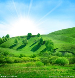 草原美景