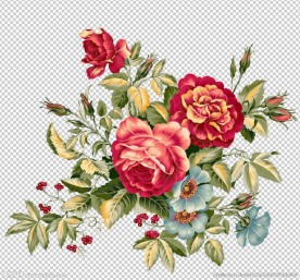 高清PSD透明背景手绘花卉玫瑰
