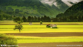 田园风光