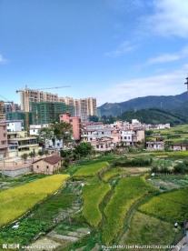 乡村田野