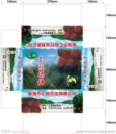 杨梅包装