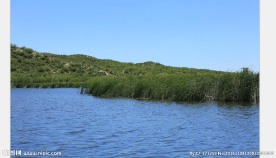 湖水景观