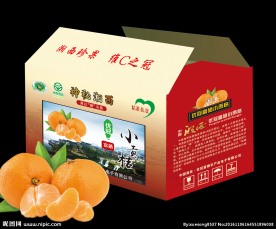 贡桔包装