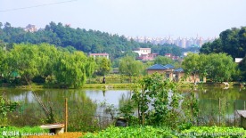 田原秋景