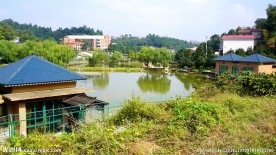 田原风光