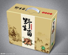 野生菌包装设计(展开平面图)