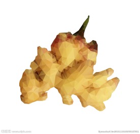 块面风格生姜