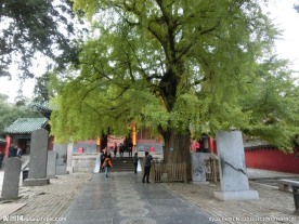 少林风光
