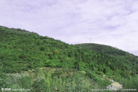 山川美景