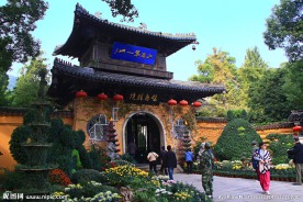 惠山金秋菊会