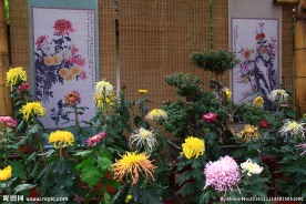 惠山金秋菊会