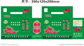 火龙果包装